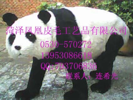 供应真皮照相熊猫，老虎
